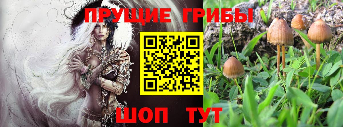 Псилоцибиновые грибы прущие грибы  Вход с VPN  Елизово 